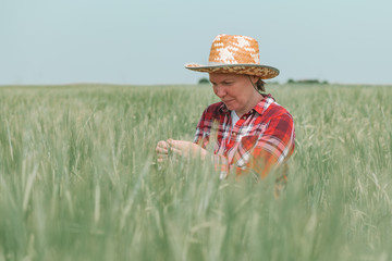 Naklejka na ściany i meble Female agronomist farmer examining development of green barley crops in field
