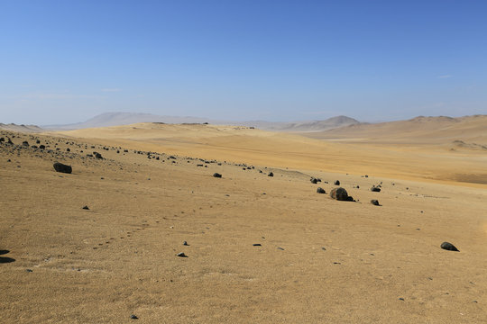 The splendid natural reserve of Paracas, Peru