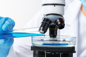 Scientist's hands doing chemical research with the help of microscope