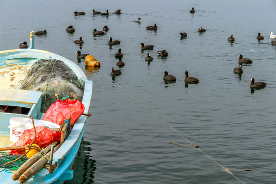 TRABZON / TURKEY - JANUARY 13, 2010: Fishing Boat and Grebe Birds. Faroz Fisher shelter
