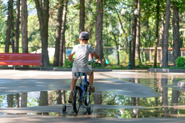 Child rides bike on road in park, rear view