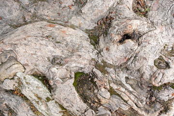 Stone Natural Rugged Background