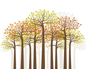 Vector illustration of autumn forest. Trees with colored leaves. Natural background