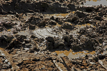 Interesting mud background. Muddy soil texture.