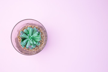 Artificial succulent in a glass terrarium on pink background, home decoration, horizontal, copy...