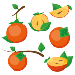 Persimmon with leaves whole and slices of persimmons.Vector illustration for decorative poster, emblem natural product.