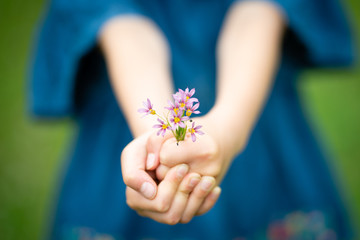 小さな花を差し出す子供
