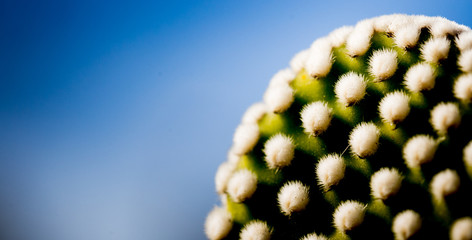 holidays, travel, trip, world, beauty, magical, spectacular, amazing, meliveo