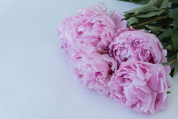  gentle bouquet of big  pink peony lie on white background, holiday mood, greetings and congratulations with mother's day, birthday, anniversary. Holiday concept. Copyspace for text