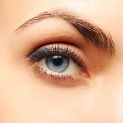 Close up picture of woman’s blue eye with minimum make up