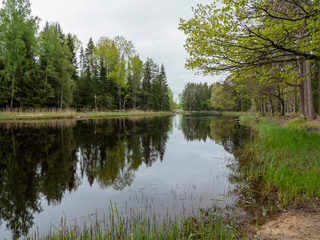 Fototapeta na wymiar Scenic view of a river in spring. Farnebofjarden national park in Sweden.