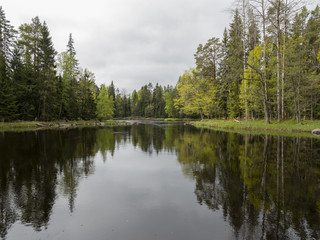 Fototapeta na wymiar Scenic view of a river in spring. Farnebofjarden national park in Sweden.