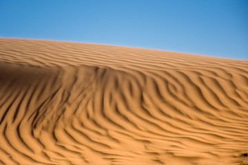 Ripple sand dunes and blue sky background, Perry Sandhills, Australia