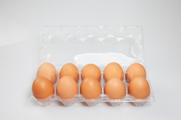 Eggs in box on white background. Fresh chicken eggs in Plastic packaging with copy space .