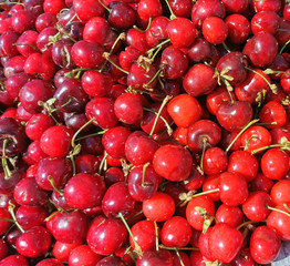Ripe cherries on the market for sale, seasonal fruits and berries