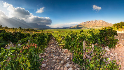 Panoramic View of the Slanghoek Valley near the town of Worcester in the Breede Valley in the Western Cape of South Africa