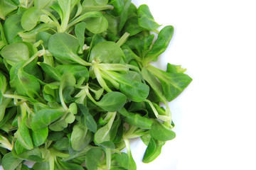 fresh lamb's lettuce