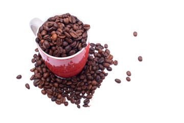 Coffee bean