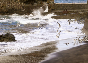 holidays, travel, trip, world, beauty, magical, spectacular, amazing, meliveo