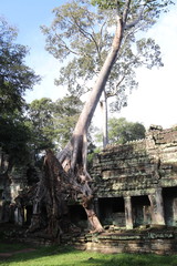 Temple à Angkor, Cambodge	