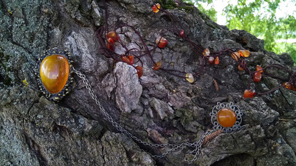 Amber jewelry beads, pendants, necklace, brooch are  on a tree. Nature, dark bark, stones, silver,...