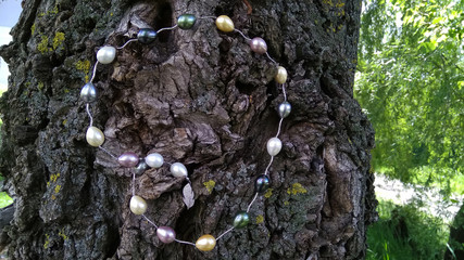 Pearls on a silver chain on a tree.  Colorful natural beads, pearl jewelry, nature, big pearls, dark bark of a tree.