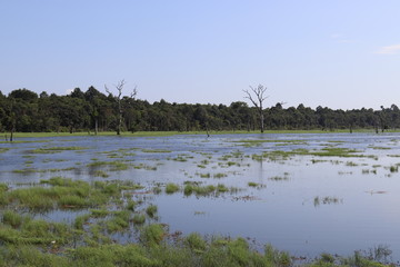 Lac &agrave; Angkor, Cambodge	
