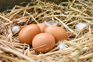 Many eggs in the nest are made from straw. Food obtained from chickens on farms. Healthy products from farmers. Products from rural areas.