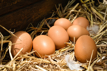 Many eggs in the nest are made from straw. Food obtained from chickens on farms. Healthy products from farmers. Products from rural areas.