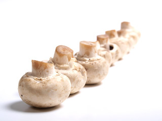 Fresh white champignons on the kitchen table. Ingredients for cooking