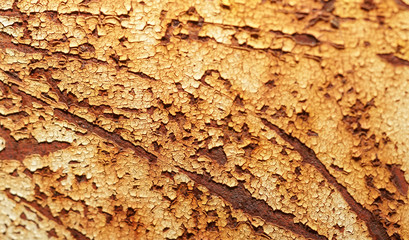 Old railing that has rust in the factory.Rust of metals.Corrosive Rust on old iron.Use as illustration for presentation. 