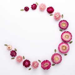 Flower composition. Frame made of dry flowers on white background. Flat lay. Top view. Copy space. Square