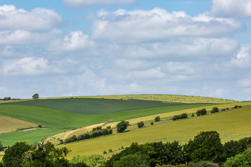 Fototapeta na wymiar Looking out over fields in the South Downs on a sunny late spring day