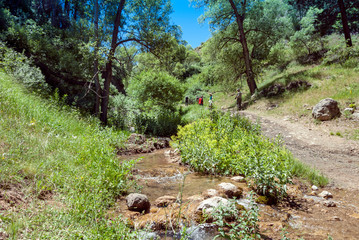 Gumushane, Turkey - 11 July, 2017: Kelkit Butterfly Valley, National Nature Park