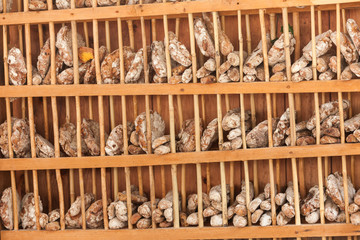 Traditional Rye flour bread cooked on site during the 