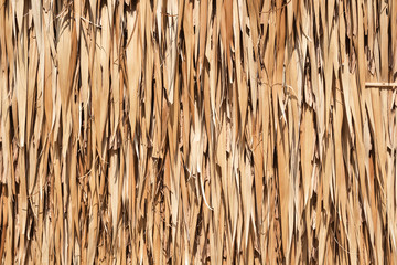 Texture of dried coconut leaves that overlap pile. Abstract background of dried coconut leaves.