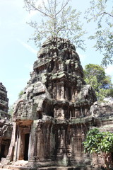 Temple Ta Prohm à Angkor, Cambodge