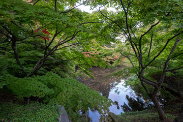 Fototapeta premium Przedmieście Japonii Po kryzysie epidemicznym COVID-19, czyli wirusy koronowe.