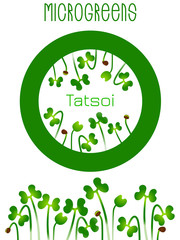 Microgreens Tatsoi. Seed packaging design, round element in the center. Sprouting seeds of a plant