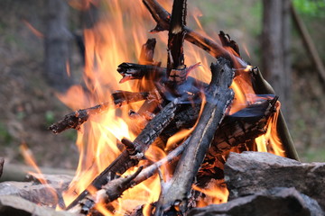 Close Up Of Big Burning Campfire With Orange Flames