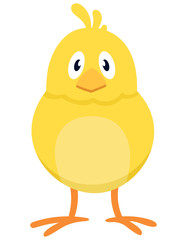 Chick front view. Farm animal in cartoon style.