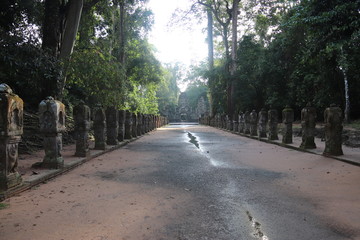 Obraz premium Chemin d'un temple à Angkor, Cambodge