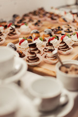 A buffet table. Sweet desserts. Fourchette at the party. Sweet buffet at the party. 