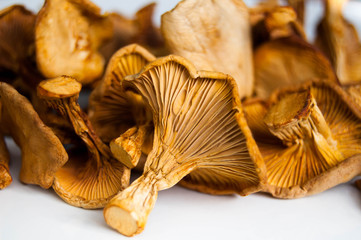 Dried chanterelle mushrooms close-up on a white background.Dried chanterelles bright yellow-orange...