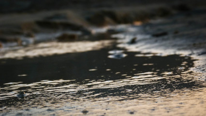 A close up of puddle on the beach