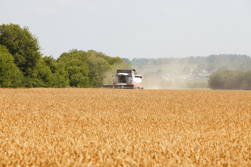 Combine harvester working in a very wide wheat field