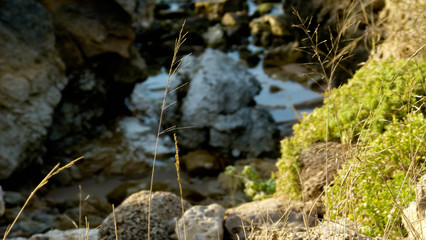 A close up of rocks and grass