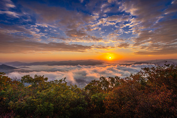 Obraz premium Beautiful morning mist at sunrise in South Korea.