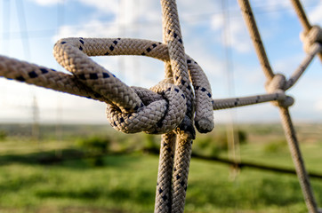 many ropes and one big knot