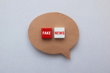 A symbolic image of a cloud and its inscription: fake news. Not true information